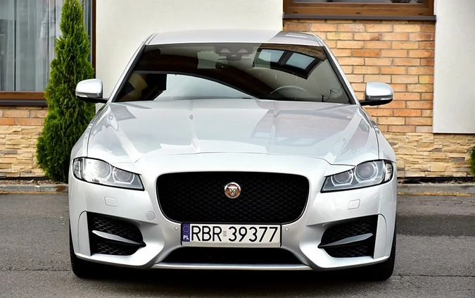 Jaguar XF cena 88900 przebieg: 146912, rok produkcji 2017 z Ustroń małe 742